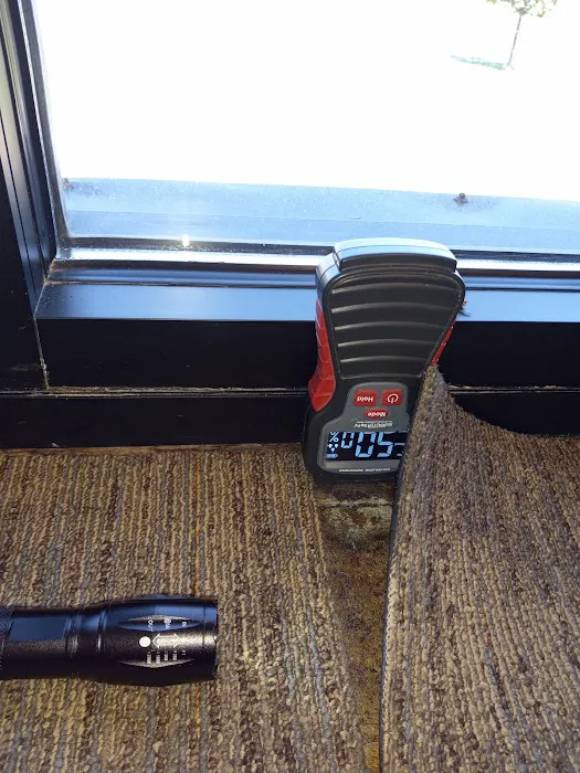 Mold Busters Ogden Picture 9