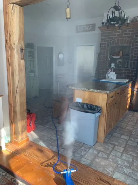 Mold Busters Ogden Picture 3