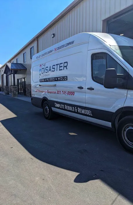 The Disaster Company Picture 2