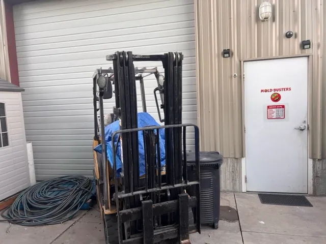 Mold Busters Logan Picture 5