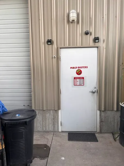 Mold Busters Logan Picture 4