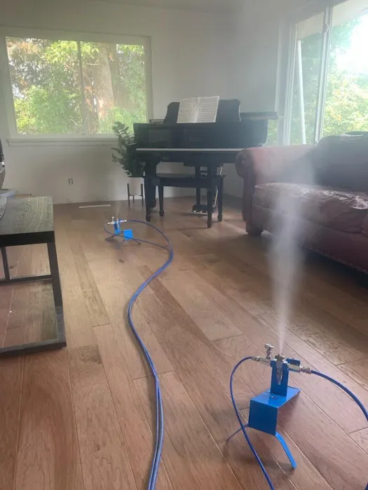 Mold Busters Logan Picture 2