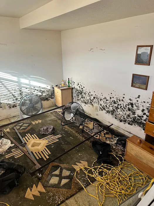 Asset Environmental Services Picture 6