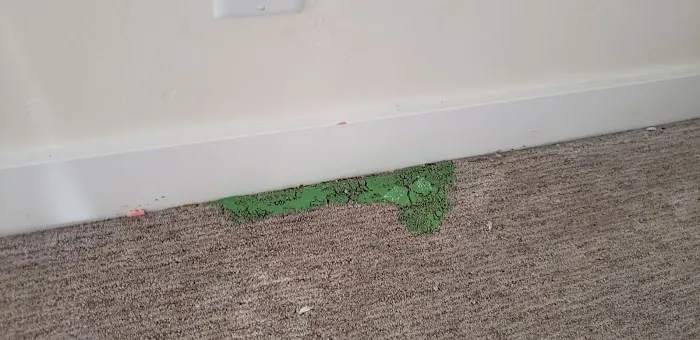 ACDC Cleaning and Restoration Picture 3