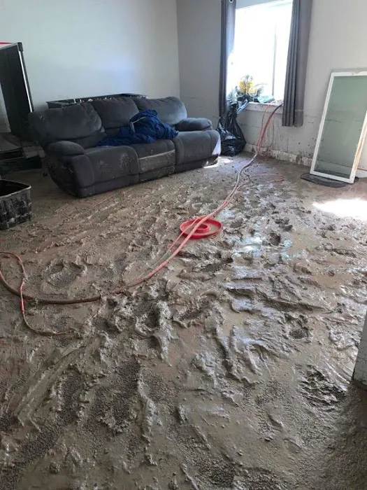 Sierra Restoration Picture 5