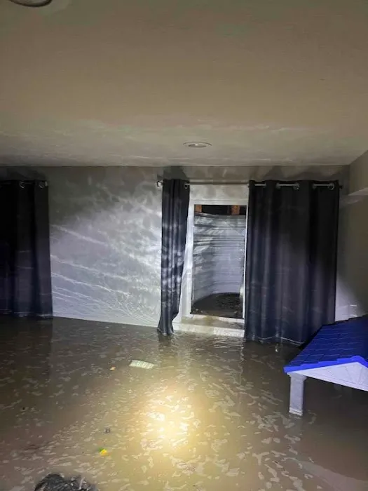 Sierra Restoration Picture 10