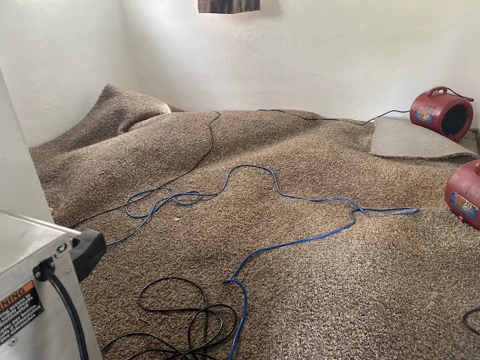 Sierra Restoration Picture 6