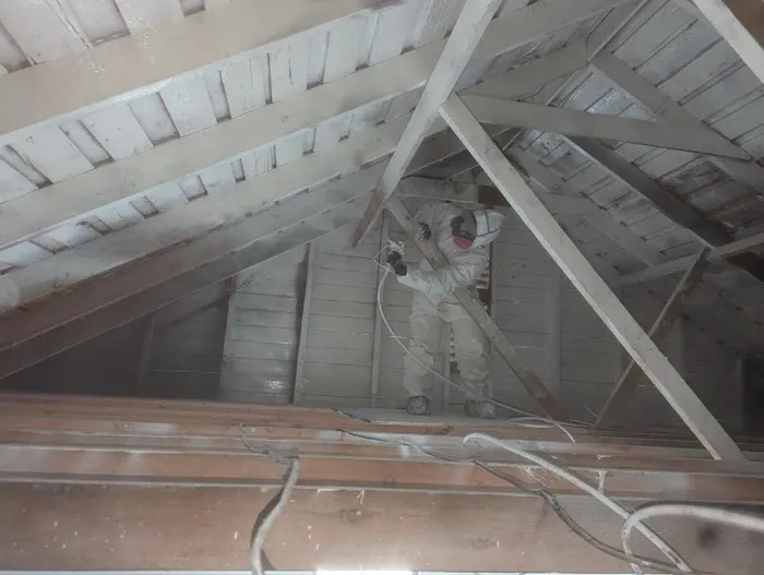 Sierra Restoration Picture 3