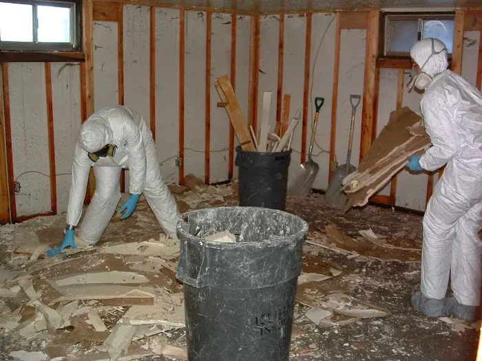 Alpine Cleaning and Restoration Specialists Picture 8