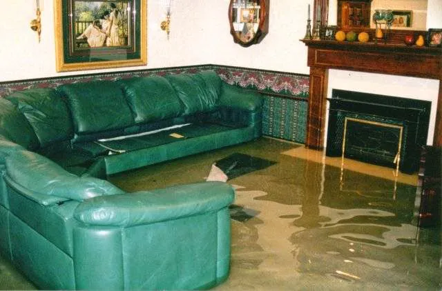 Alpine Cleaning and Restoration Specialists Picture 2