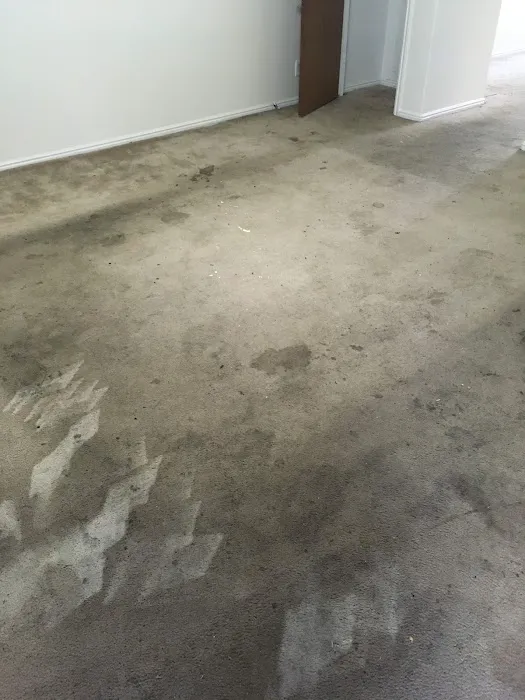 Alert Cleaning & Restoration Picture 1