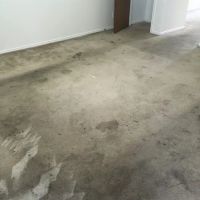 Alert Cleaning & Restoration ico