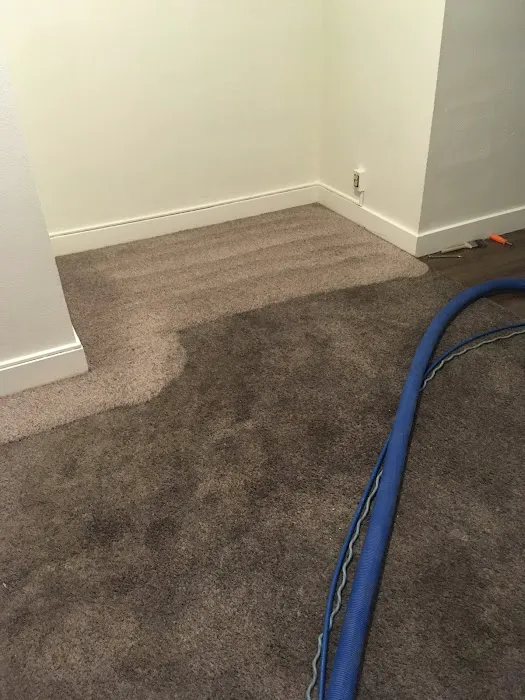 Alert Cleaning & Restoration Picture 7