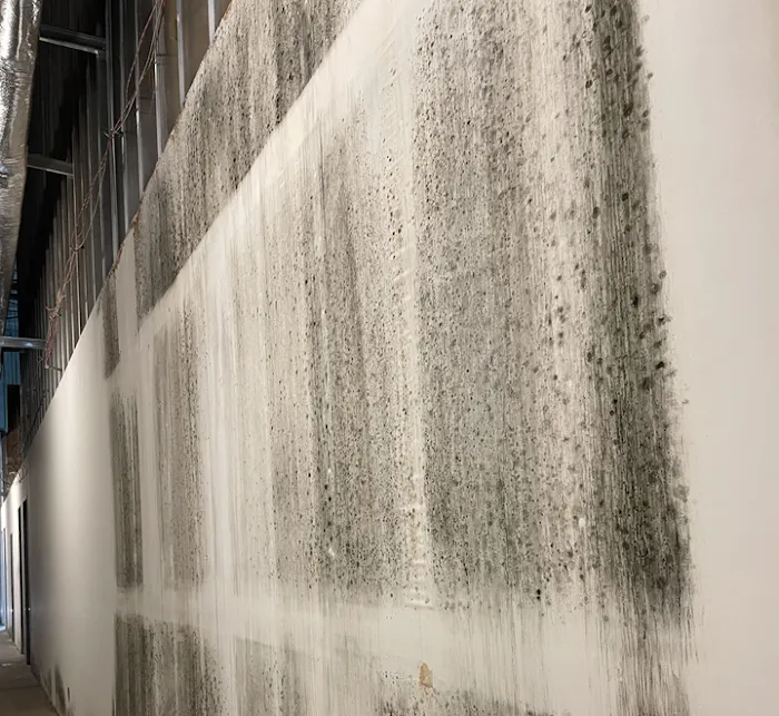 Master Restoration Picture 9