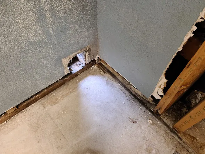 Healthy Home Environmental Picture 10