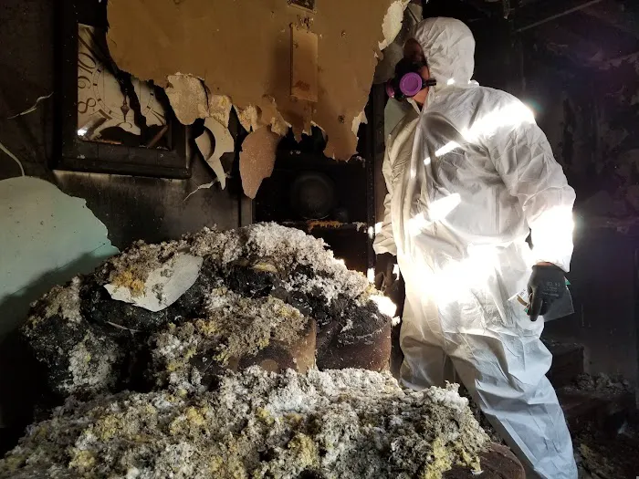 Healthy Home Environmental Picture 2