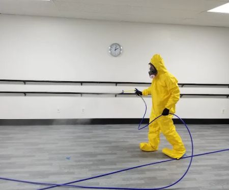 Healthy Home Environmental