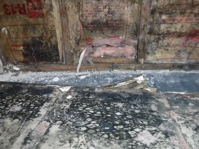 Healthy Home Environmental Picture 4