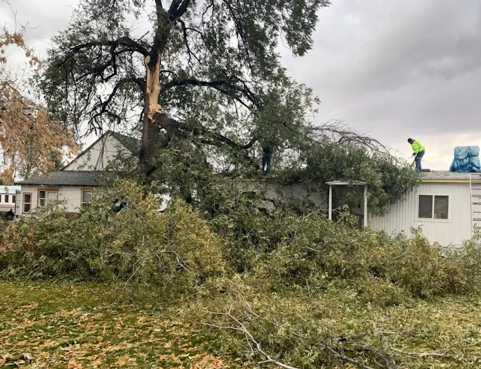 Elite Restoration Inc - Pocatello & Chubbuck Picture 9