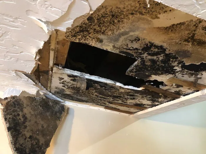 1st Response Restoration - Idaho Picture 3