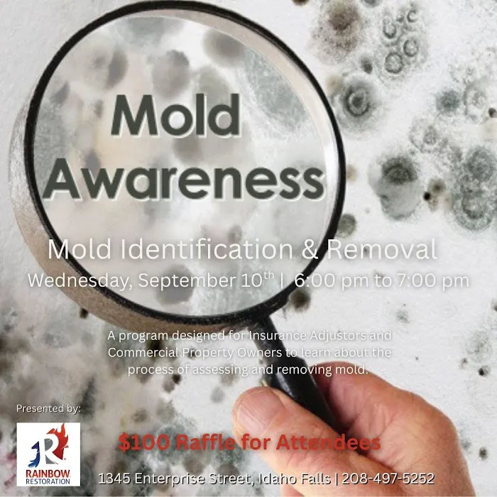 Rainbow Restoration of Idaho Falls Picture 9