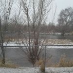 Snake River Painting