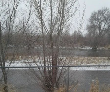 Snake River Painting