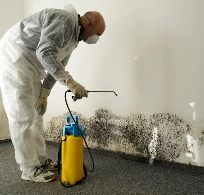 Eco Shield Restorations Picture 9