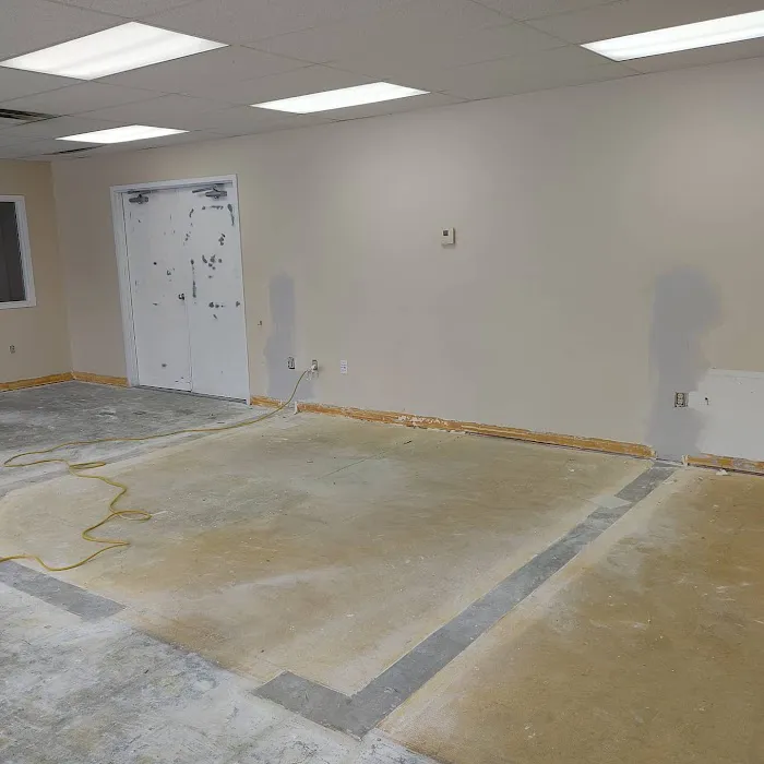 Start To Finish Painting Solutions L.L.C. Picture 6