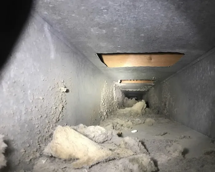 Allmax Carpet Cleaning | Duct Cleaning | Water Damage Restoration Picture 4