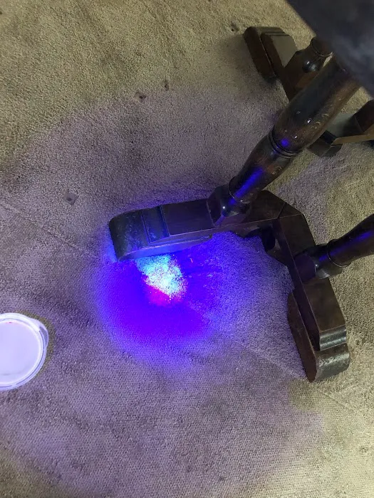 Green Machine Carpet Cleaning Picture 7