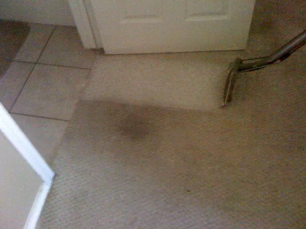 Best Price & Service Carpet Cleaning Picture 5
