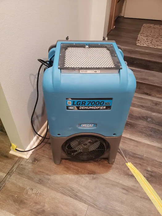 READY 5 Restoration Picture 7