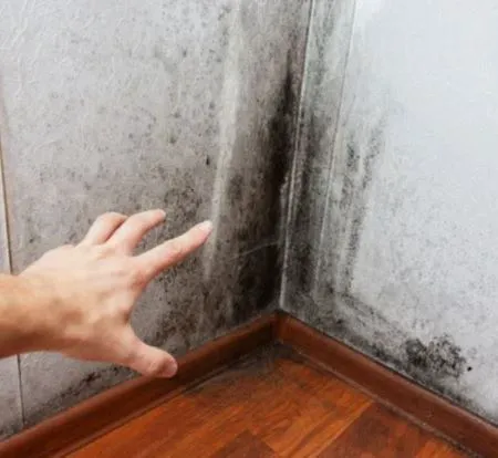 WATER ADVENTURES OF FLORIDA, LLC Picture 3