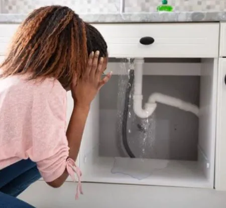 WATER ADVENTURES OF FLORIDA, LLC Picture 5