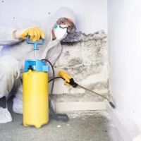 WATER ADVENTURES OF FLORIDA, LLC ico