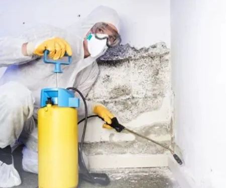 WATER ADVENTURES OF FLORIDA, LLC