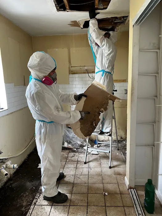 Rapid Recovery Team Orlando LLC Picture 5