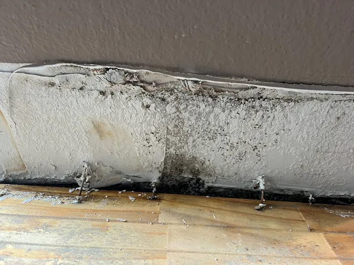 Rapid Recovery Team Orlando LLC Picture 7