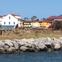 Royal Plus Disaster Cleanup Winter Springs ico