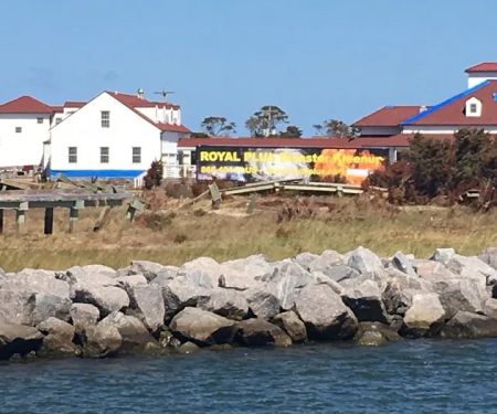 Royal Plus Disaster Cleanup Winter Springs