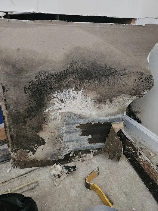 Pure Maintenance Mold Remediation - Orlando Picture 5