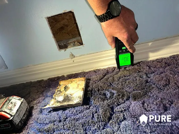 Pure Maintenance Mold Remediation - Orlando Picture 3