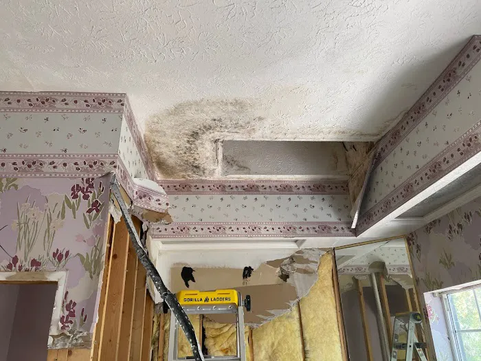 Pure Maintenance Mold Remediation - Orlando Picture 9