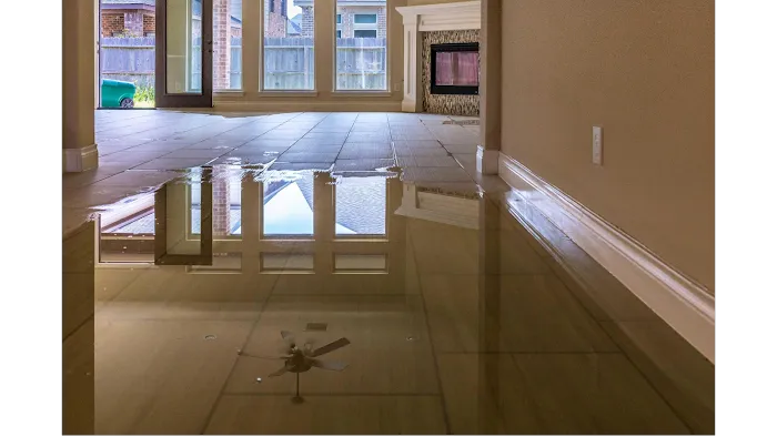 Central Solutions Picture 2