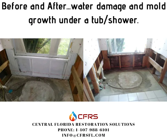 Central Solutions Picture 8