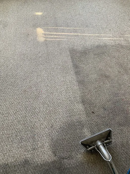 Gator Cleaning Picture 9