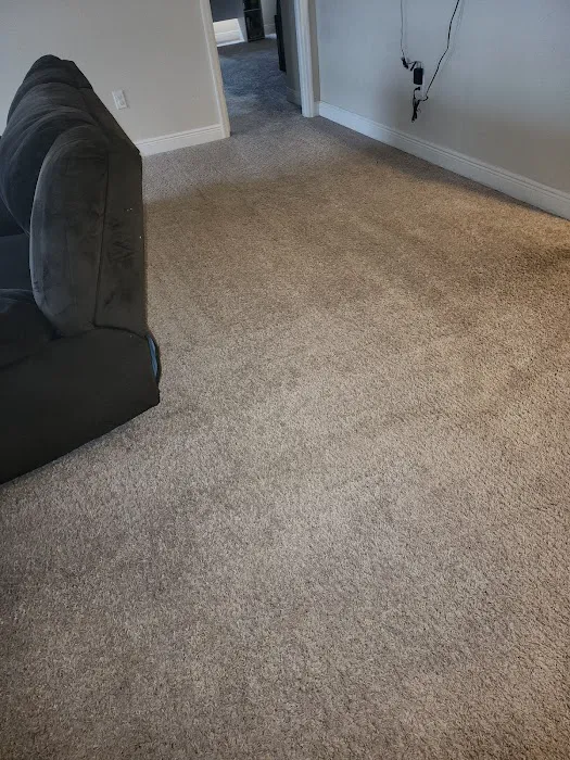 Gator Cleaning Picture 7