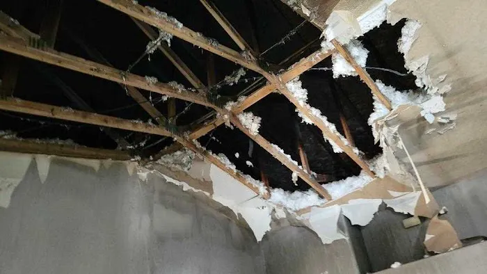 Advance Remediation Services Picture 2