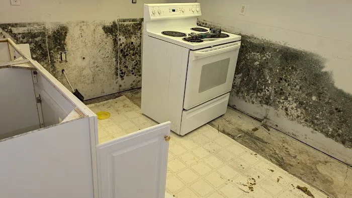 Advance Remediation Services Picture 3